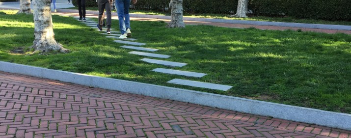 Feet walking on a paved desire path through a grove of trees